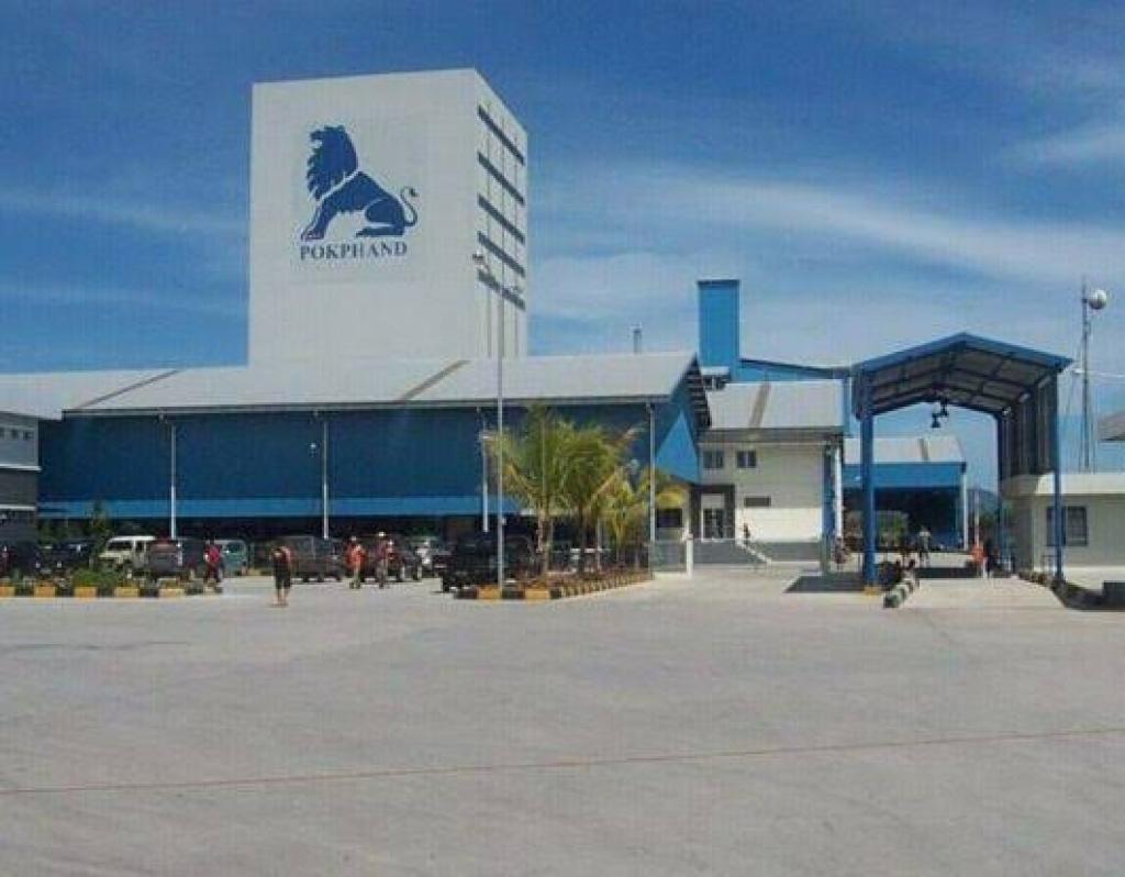 Laba CPIN Melonjak 95 Persen, Arus Kas Operasi Malah Turun 19 Persen