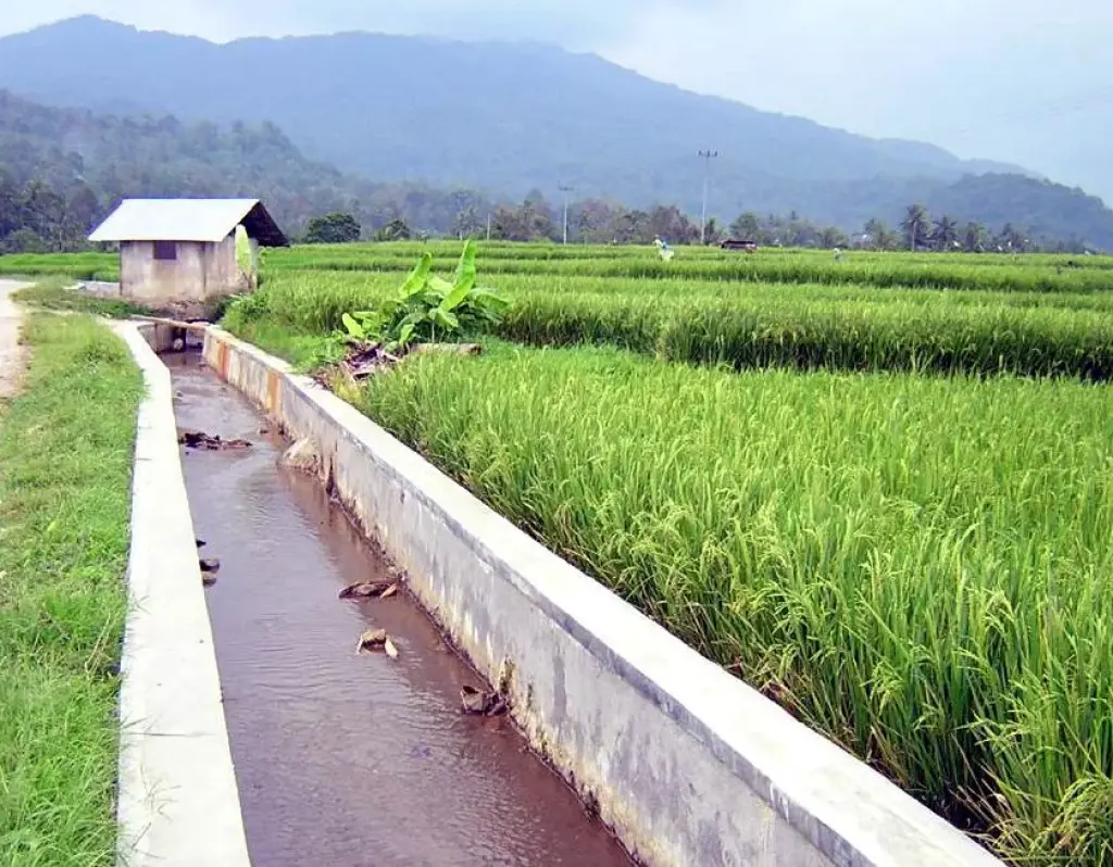 Pemerintah Perkuat Irigasi untuk Menghadapi El Niño