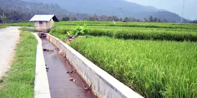 Pemerintah Perkuat Irigasi untuk Menghadapi El Niño