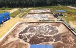 Biometana Limbah Sawit Sumatera Selatan Mulai Disalurkan pada 2027
