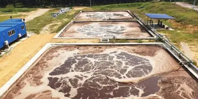 Biometana Limbah Sawit Sumatera Selatan Mulai Disalurkan pada 2027
