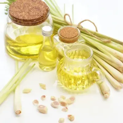 UNJ Kembangkan E-Modul Minyak Esensial Serai untuk Pembelajaran Kosmetika Aromaterapi