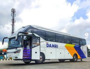 Jogja-Dieng Rute Baru DAMRI, Penumpang Dikenakan Biaya Mulai Rp25.000